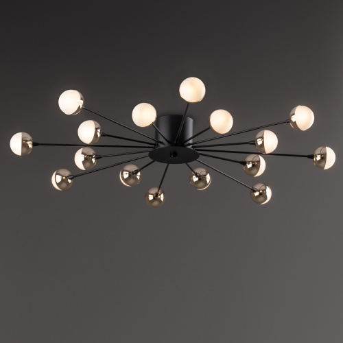 Потолочный светильник Freya FR5242CL-16B фото 3 Потолочный светильник Freya FR5242CL-16B фото 3